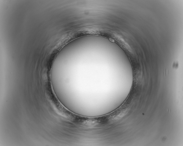 X0000093570213200711051104