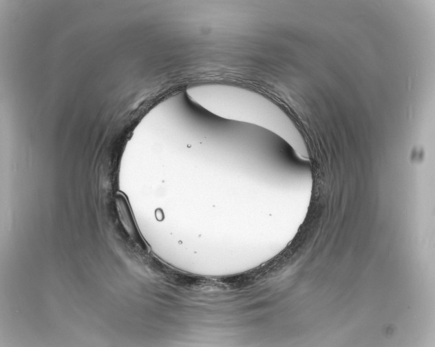 X0000093570215200711051104