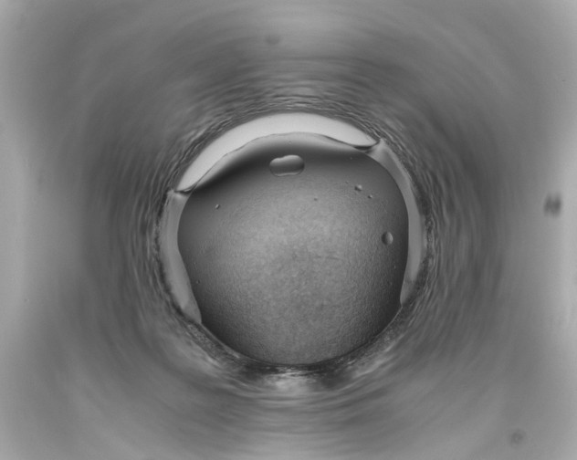 X0000093570219200711051104