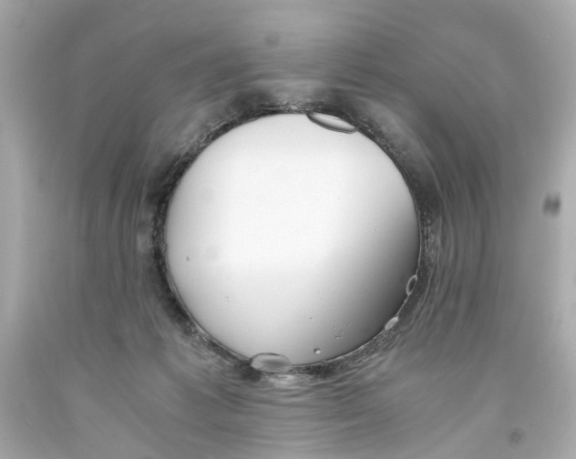 X0000093570221200711051104