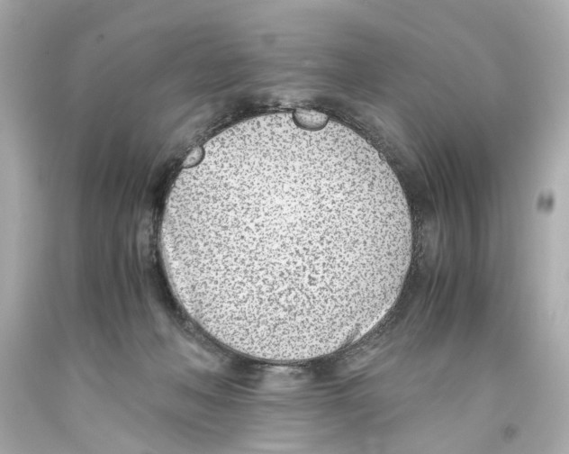 X0000093570222200711051104