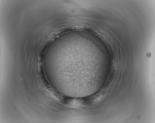 X0000093570223200711051104