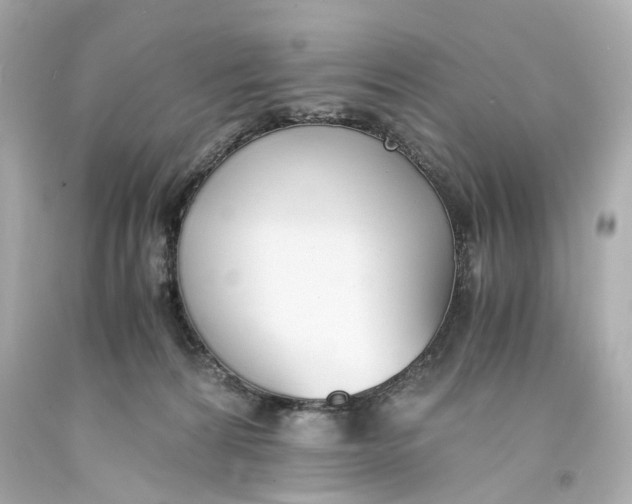 X0000093570224200711051104