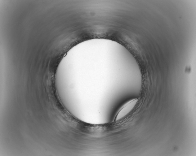 X0000093570225200711051104