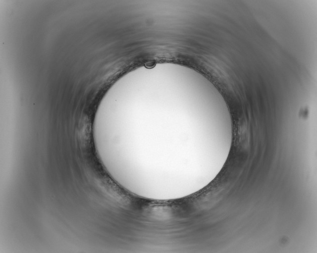 X0000093570228200711051104