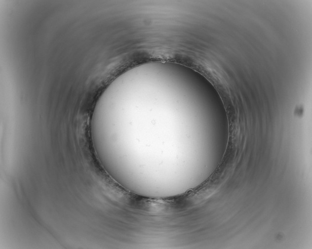 X0000093570229200711051104