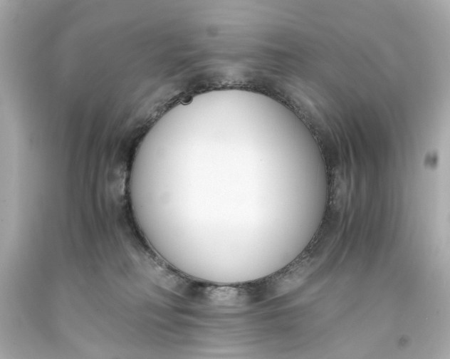 X0000093570230200711051104