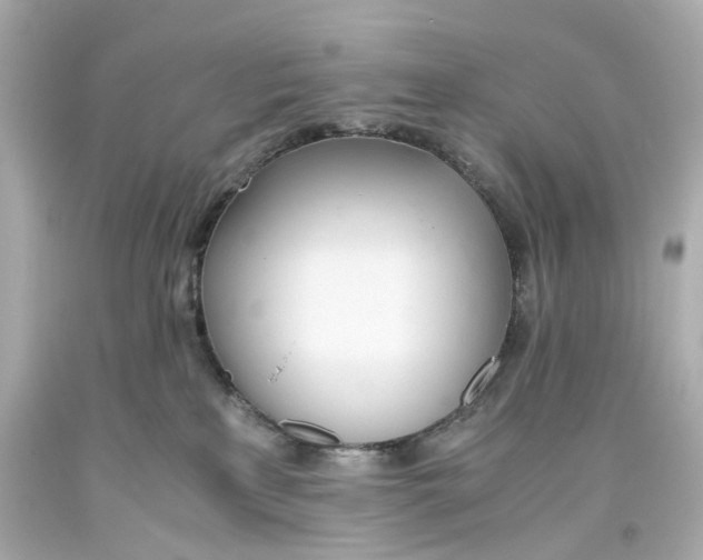 X0000093570233200711051104