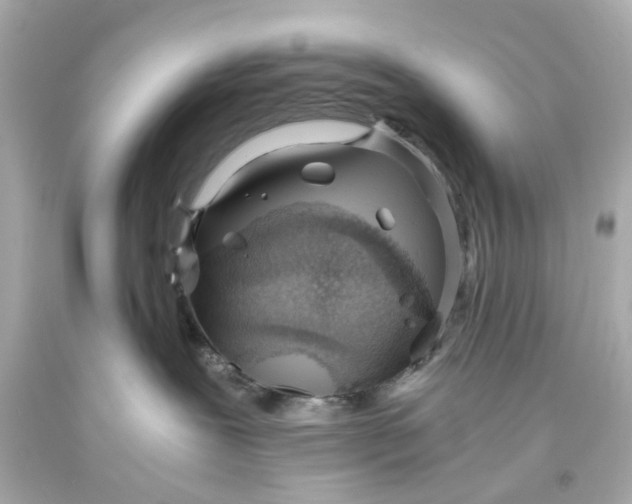 X0000093570239200711051104