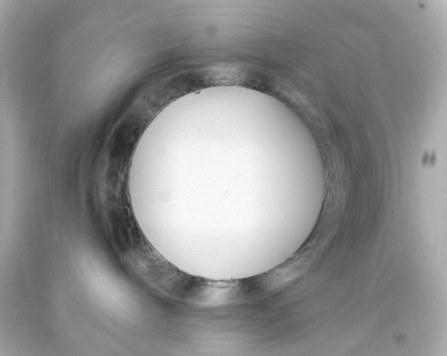 X0000093570240200711051104