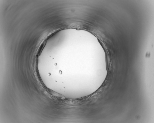 X0000093570241200711051103