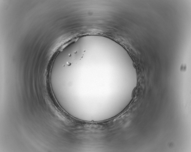 X0000093570242200711051103