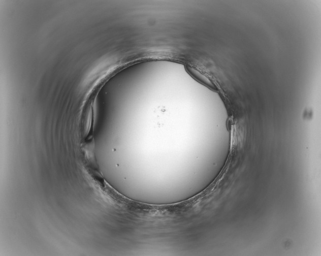 X0000093570243200711051103