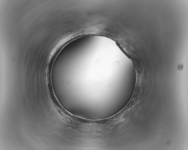 X0000093570244200711051103