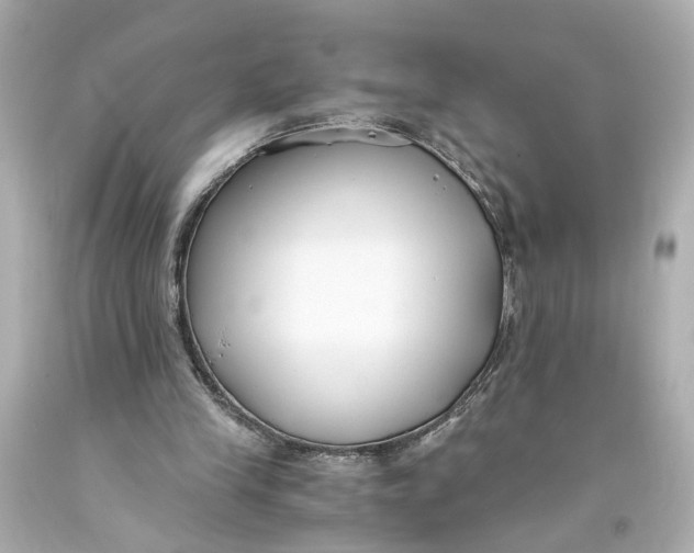 X0000093570245200711051103