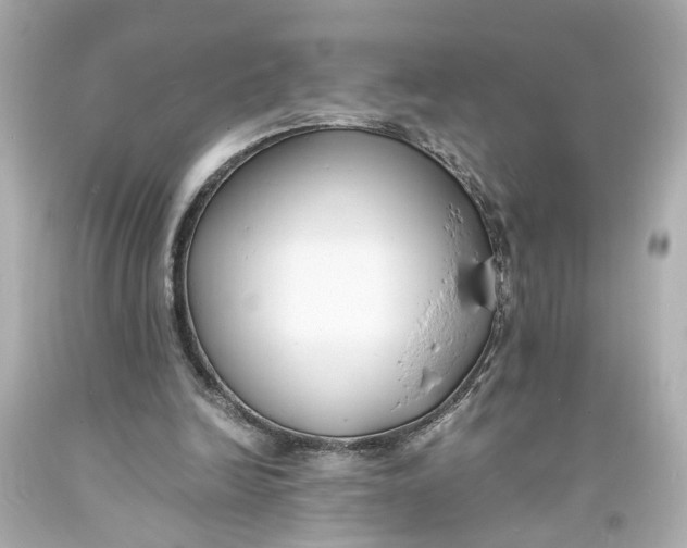 X0000093570246200711051103