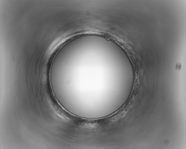 X0000093570247200711051103