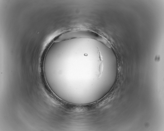 X0000093570248200711051103