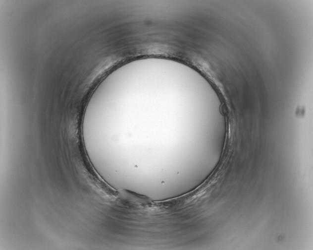 X0000093570249200711051103