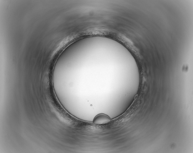 X0000093570250200711051103