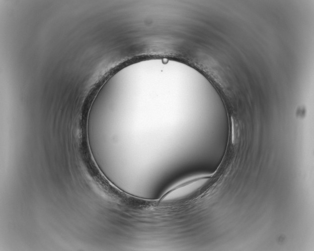 X0000093570252200711051103