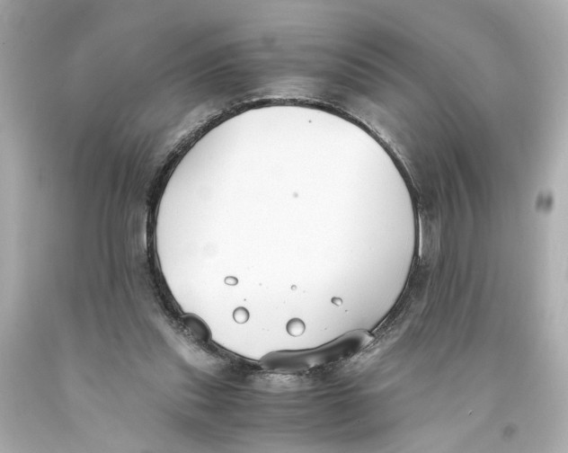 X0000093570253200711051103