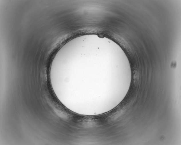 X0000093570254200711051103