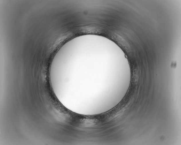 X0000093570255200711051103