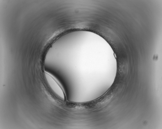 X0000093570256200711051103