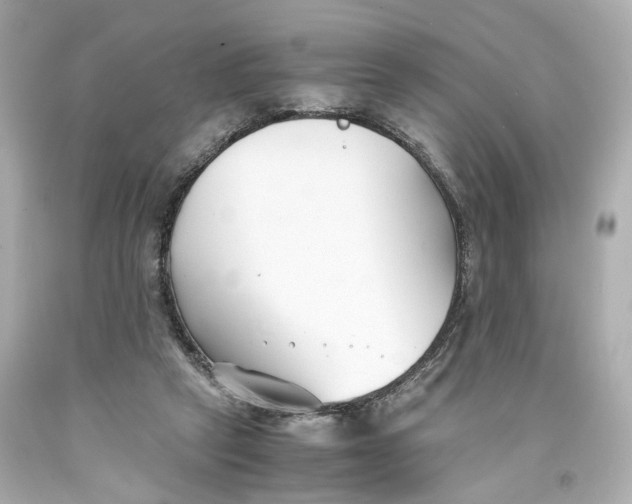 X0000093570257200711051103