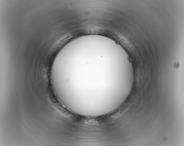 X0000093570258200711051103