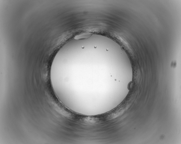 X0000093570261200711051103