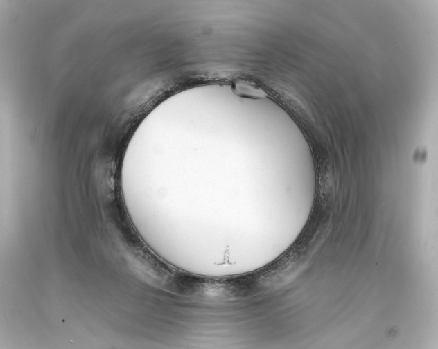 X0000093570264200711051103