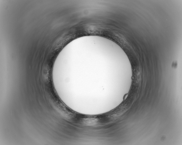 X0000093570266200711051103