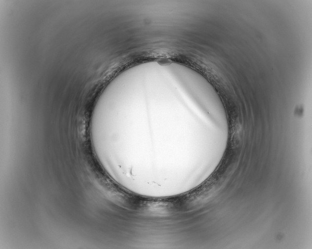 X0000093570268200711051103