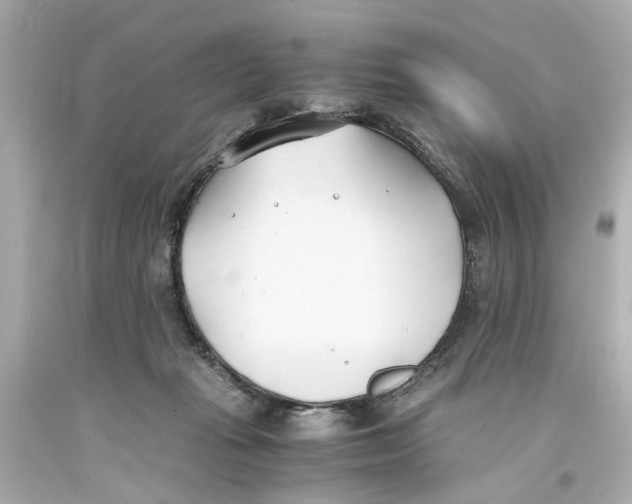 X0000093570269200711051103