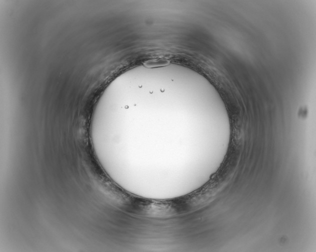 X0000093570270200711051103