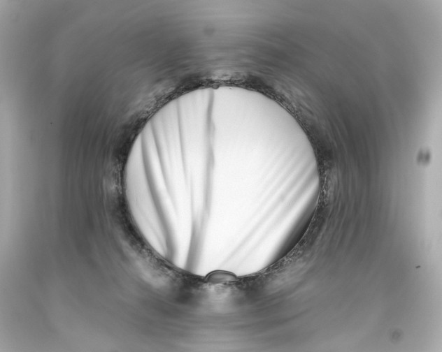 X0000093570272200711051103