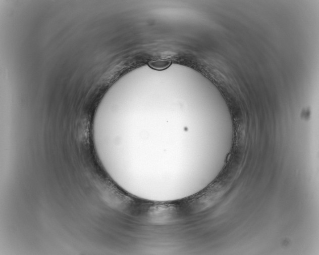 X0000093570274200711051103