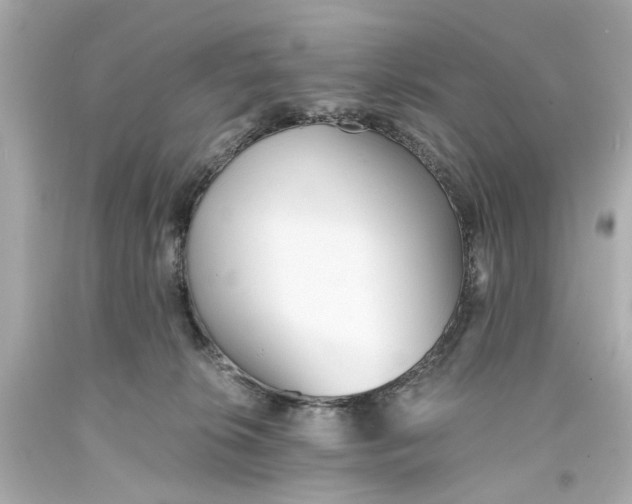 X0000093570276200711051103