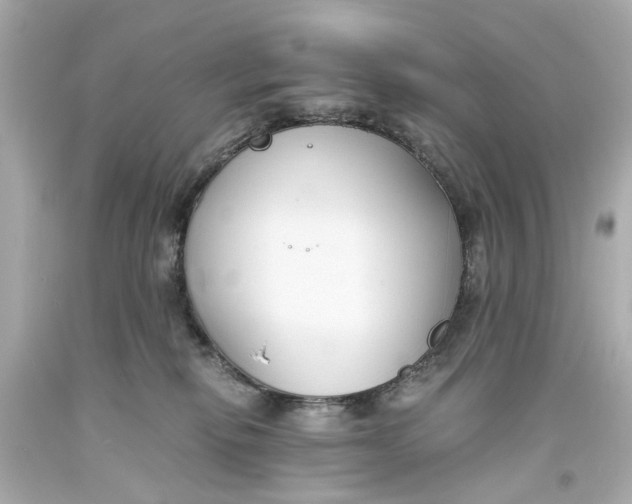 X0000093570278200711051104