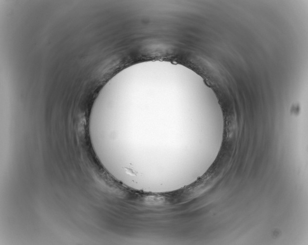 X0000093570279200711051104