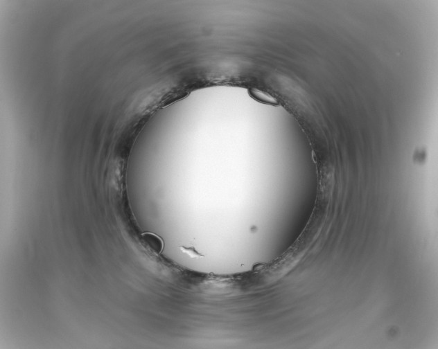 X0000093570280200711051104