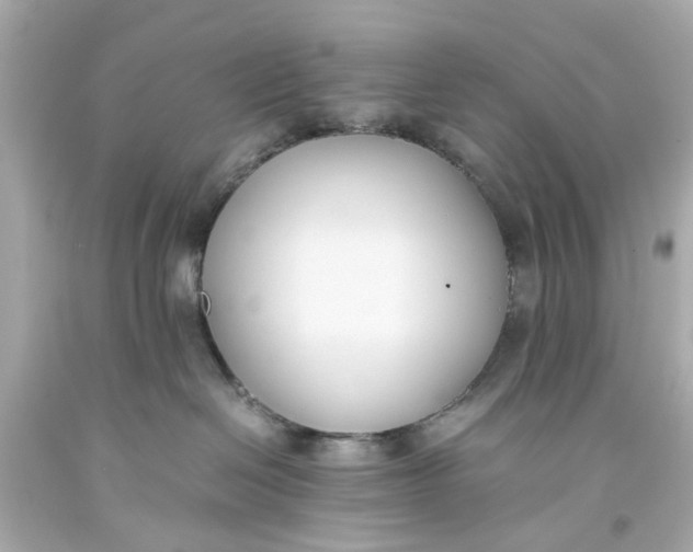 X0000093570286200711051104