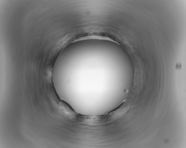 X0000093570288200711051104