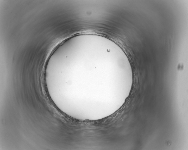 X0000093570289200711051103