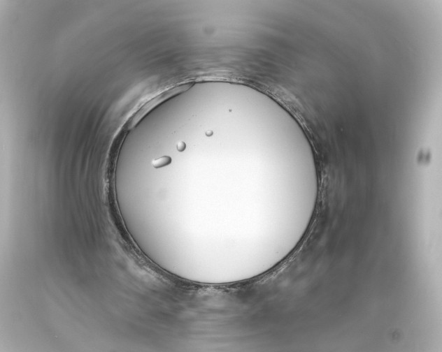 X0000093570290200711051103