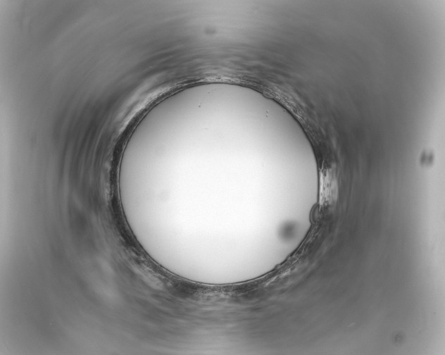 X0000093570291200711051103