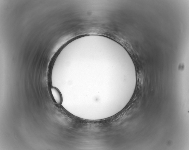 X0000093570292200711051103