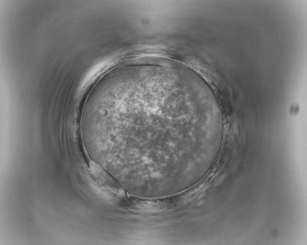 X0000093570293200711051103